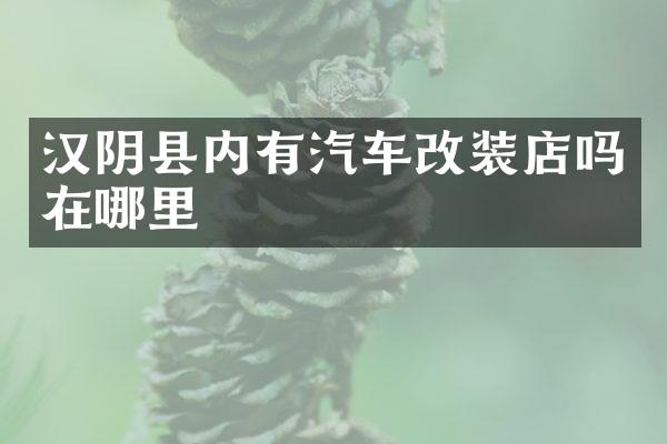 汉阴县内有汽车改装店吗在哪里