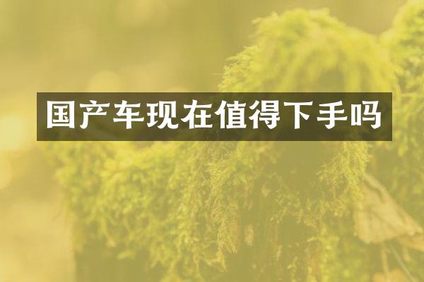 国产车现在值得下手吗