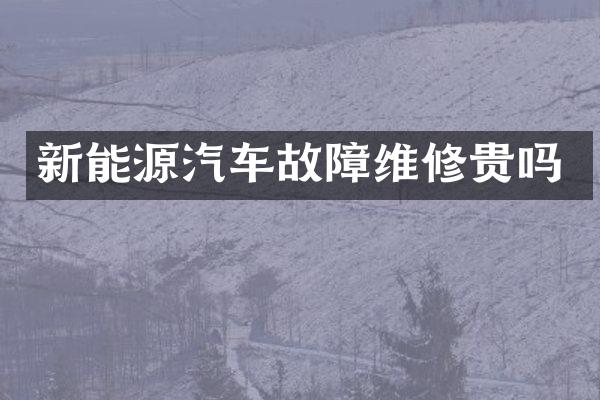新能源汽车故障维修贵吗