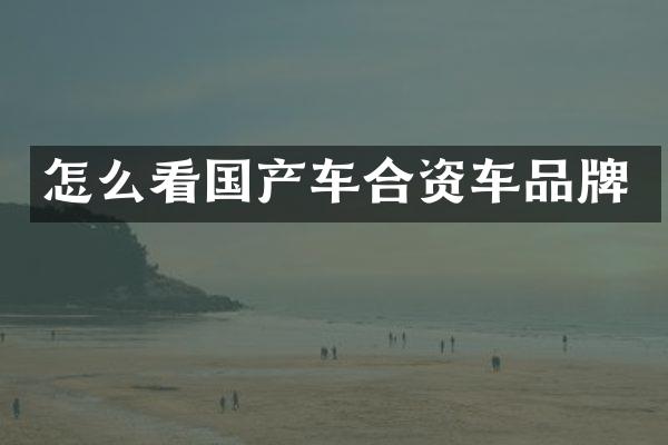 怎么看国产车合资车品牌