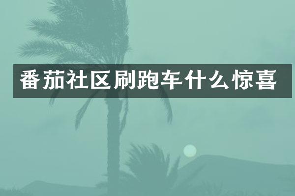 番茄社区刷跑车什么惊喜