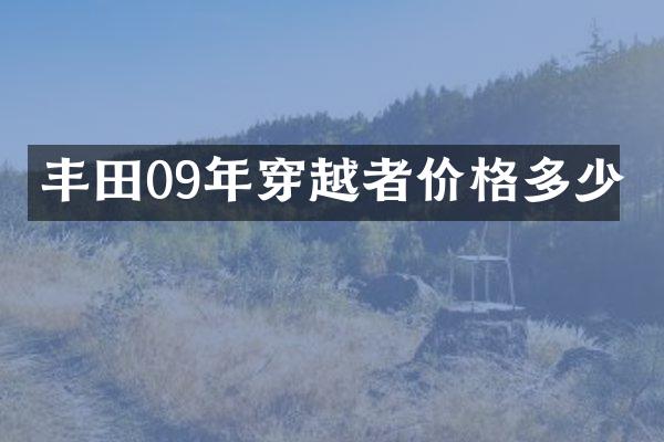 丰田09年穿越者价格多少