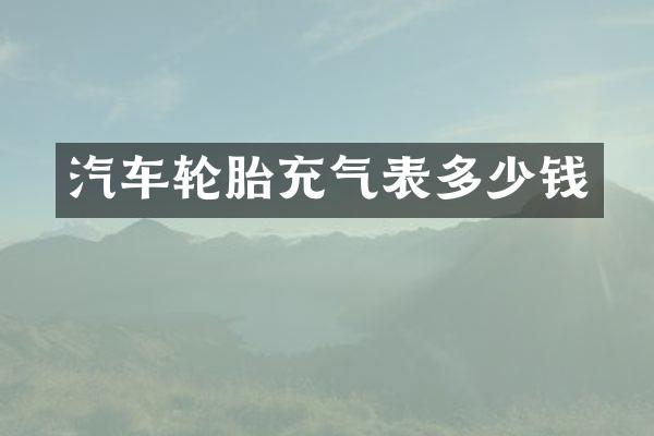汽车轮胎充气表多少钱