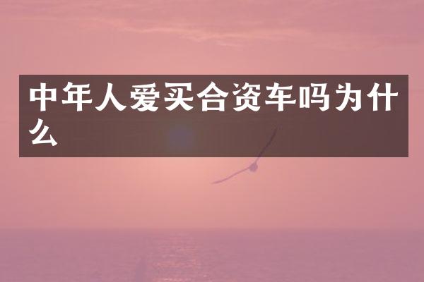 中年人爱买合资车吗为什么