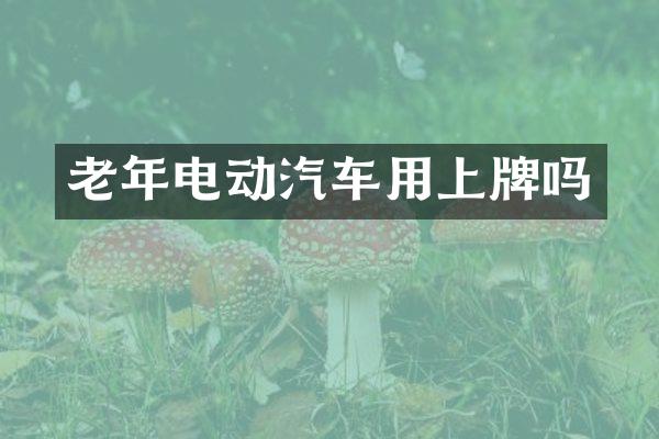老年电动汽车用上牌吗