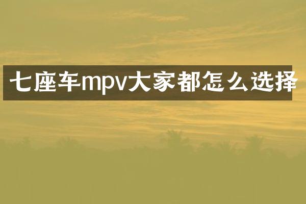 七座车mpv大家都怎么选择