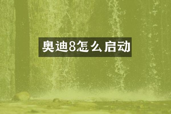 奥迪8怎么启动