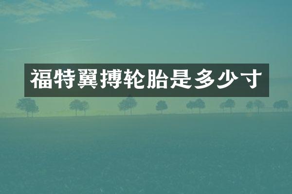 福特翼搏轮胎是多少寸