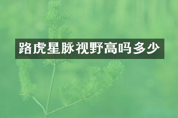 路虎星脉视野高吗多少