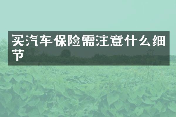 买汽车保险需注意什么细节