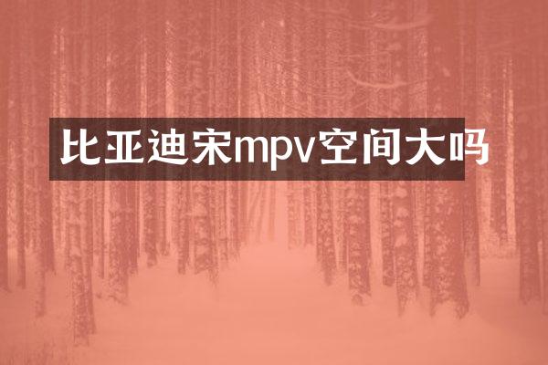 比亚迪宋mpv空间大吗