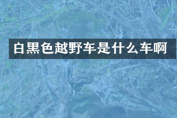 白黑色越野车是什么车啊