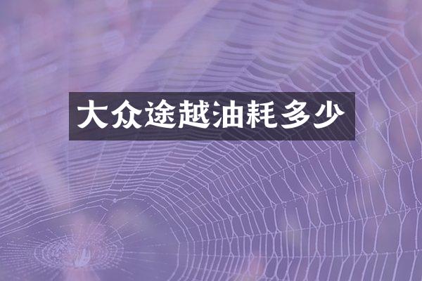 大众途越油耗多少