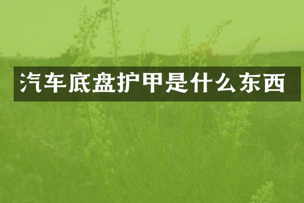 汽车底盘护甲是什么东西