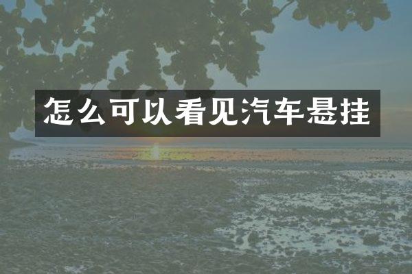 怎么可以看见汽车悬挂