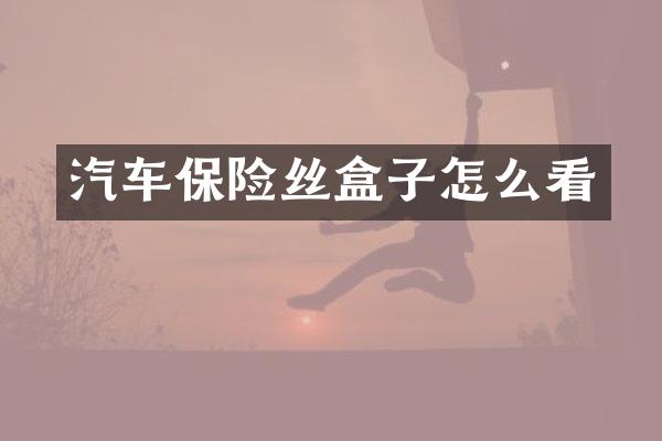 汽车保险丝盒子怎么看