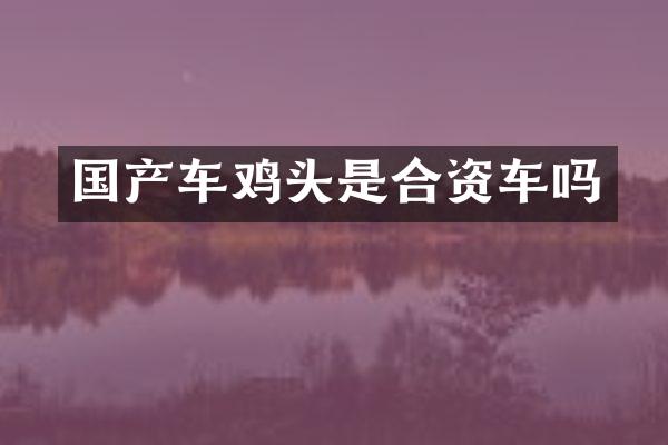 国产车鸡头是合资车吗
