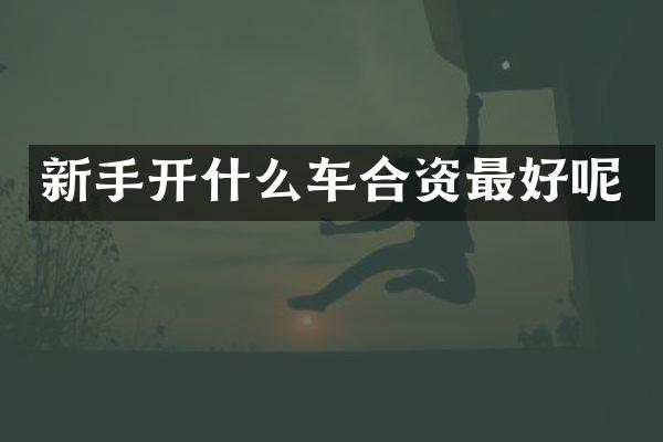 新手开什么车合资最好呢
