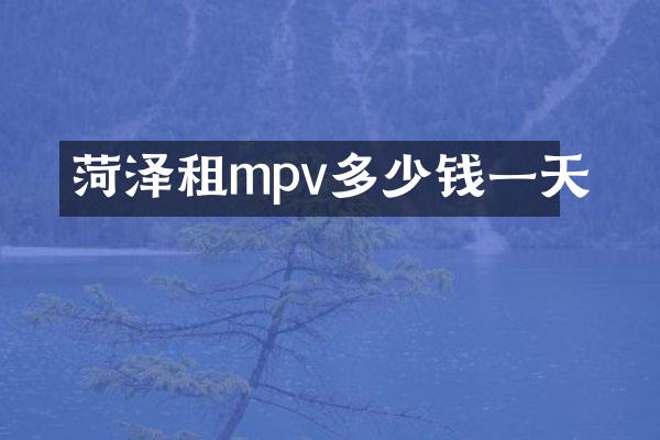 菏泽租mpv多少钱一天