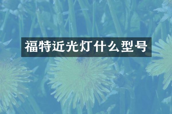 福特近光灯什么型号