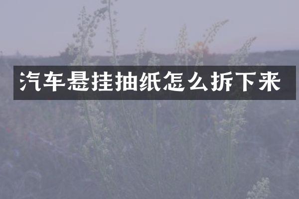 汽车悬挂抽纸怎么拆下来
