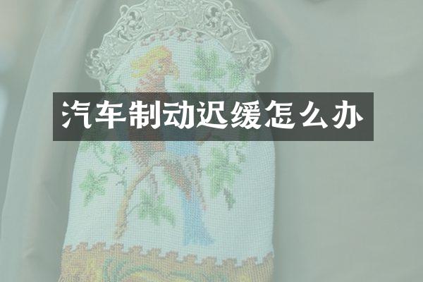 汽车制动迟缓怎么办