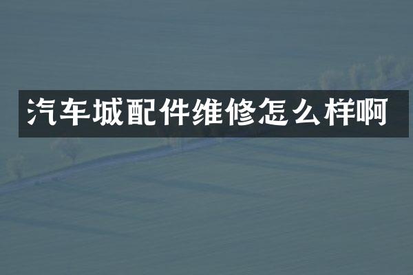 汽车城配件维修怎么样啊