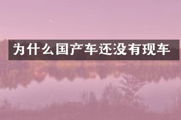 为什么国产车还没有现车