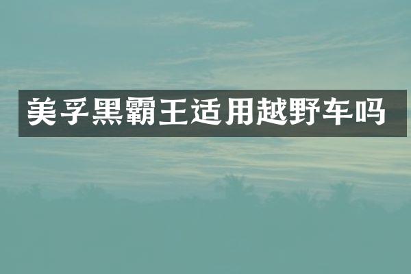 黑霸王适用越野车吗
