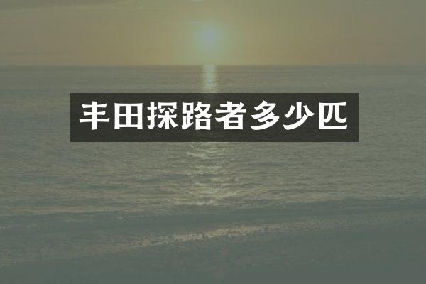 丰田探路者多少匹