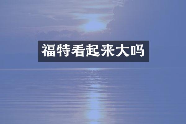福特看起来大吗