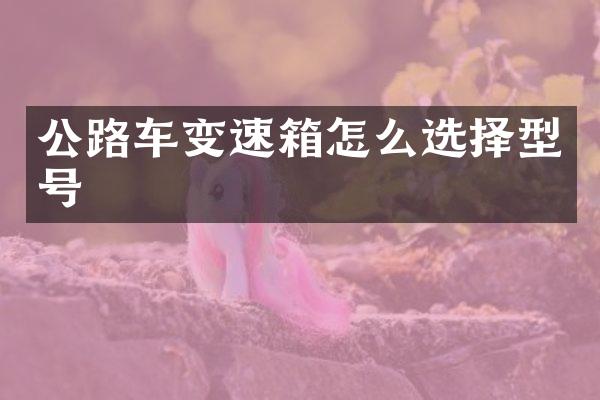 公路车变速箱怎么选择型号