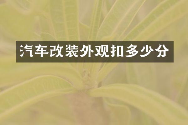 汽车改装外观扣多少分
