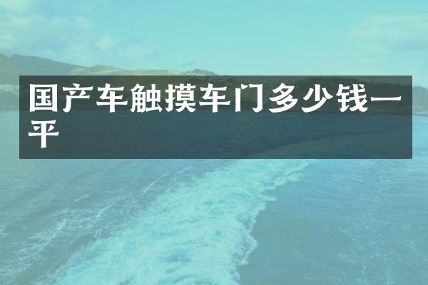 国产车触摸车门多少钱一平