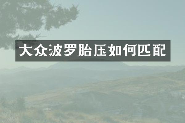 大众波罗胎压如何匹配