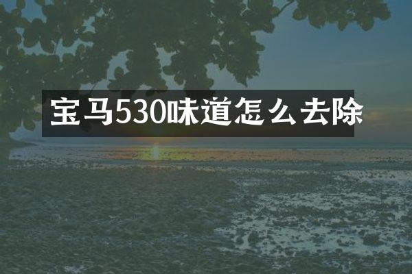 宝马530味道怎么去除