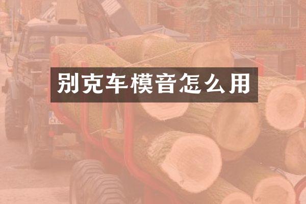 别克车模音怎么用