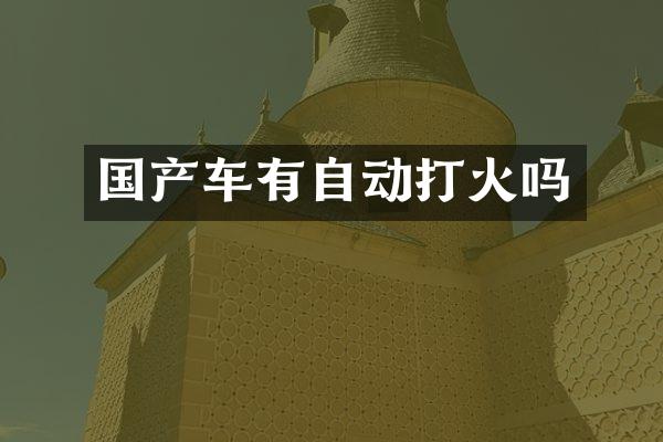 国产车有自动打火吗