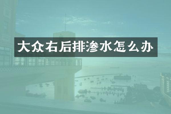 大众右后排渗水怎么办
