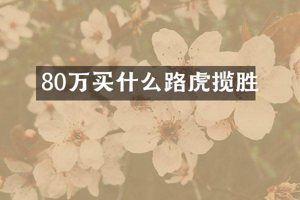 80万路虎揽胜