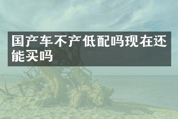 国产车不产低配吗现在还能买吗
