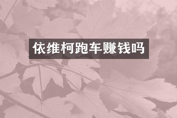 依维柯跑车赚钱吗
