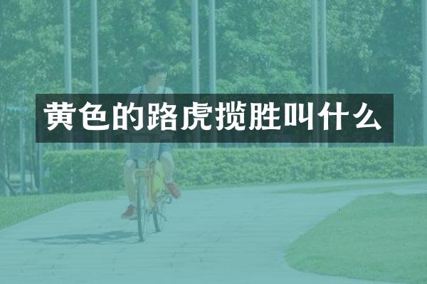 黄色的路虎揽胜叫什么
