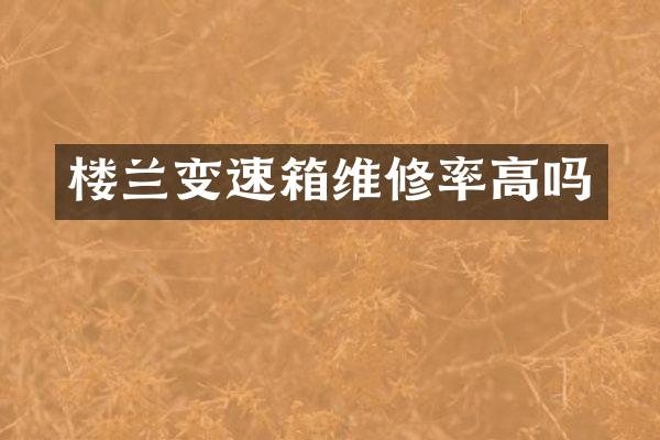楼兰变速箱维修率高吗