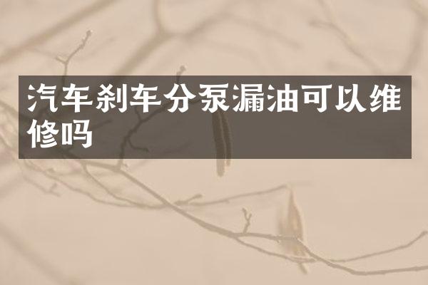汽车刹车分泵漏油可以维修吗