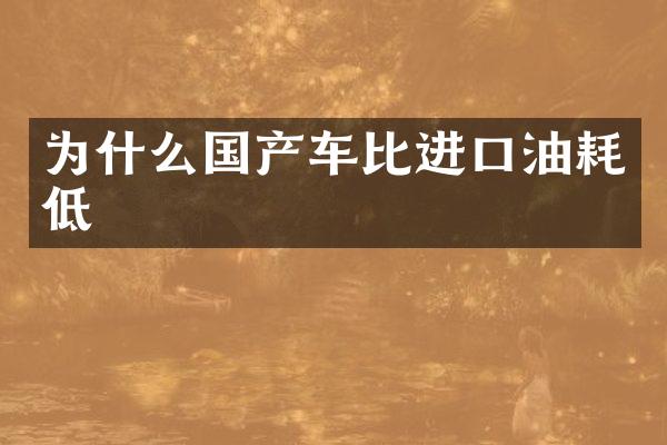 为什么国产车比进口油耗低