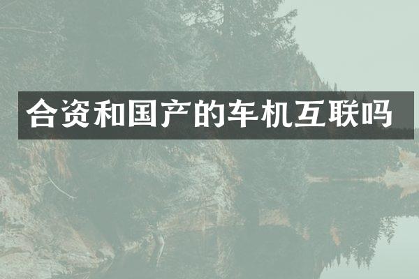 合资和国产的车机互联吗