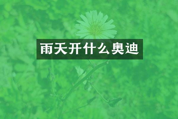 雨天开什么奥迪