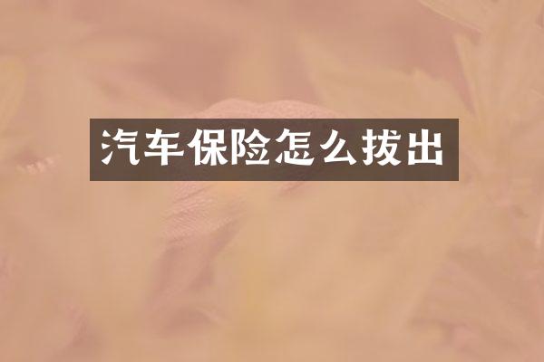 汽车保险怎么拔出