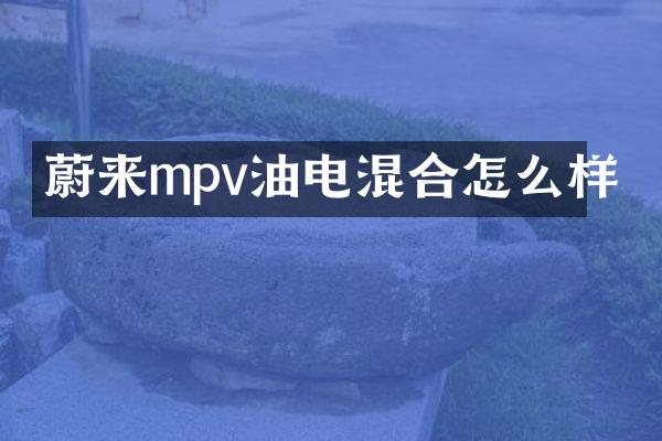 蔚来mpv油电混合怎么样